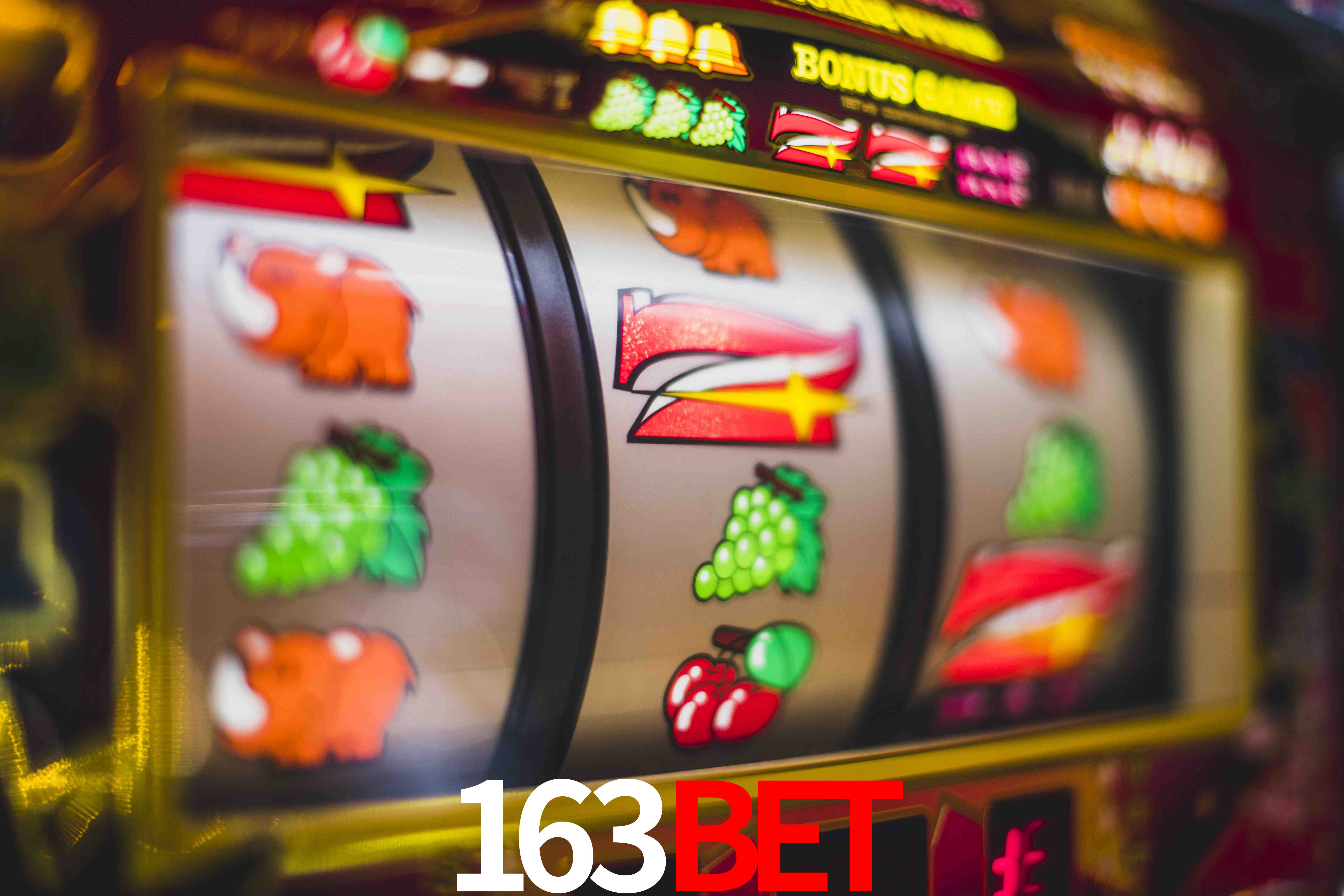 Crash Games Statistics 163bet